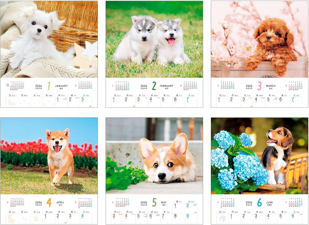 ふわふわこわんこ（月めくり/壁掛け/600mm×380mm） (インプレス